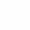 Swiss Airlines logo white